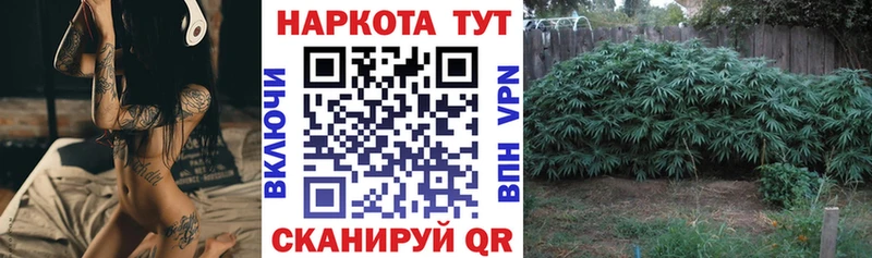 Продажа наркотиков Тосно Марихуана  Cocaine  APVP  Меф мяу мяу 